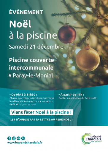 Affiche animations noel 2024