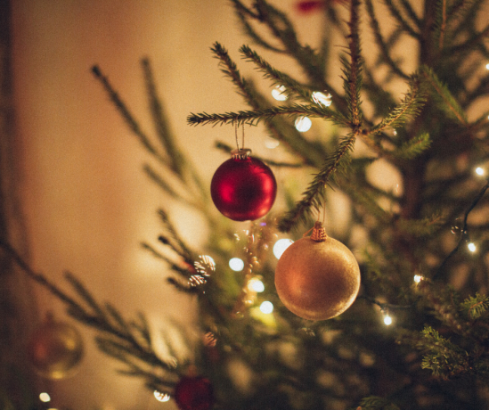 Animations de Noël à la piscine le 21 décembre